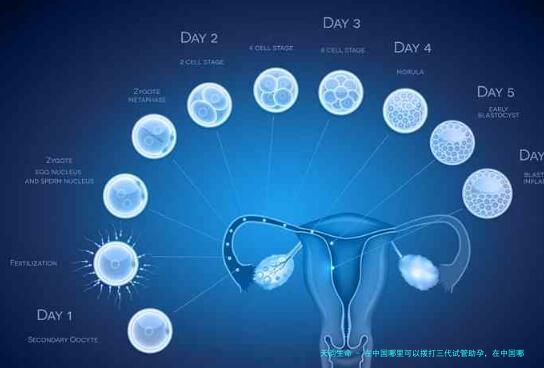在中国哪里可以拨打三代试管助孕，在中国哪个城市可以拨打三代试管助孕