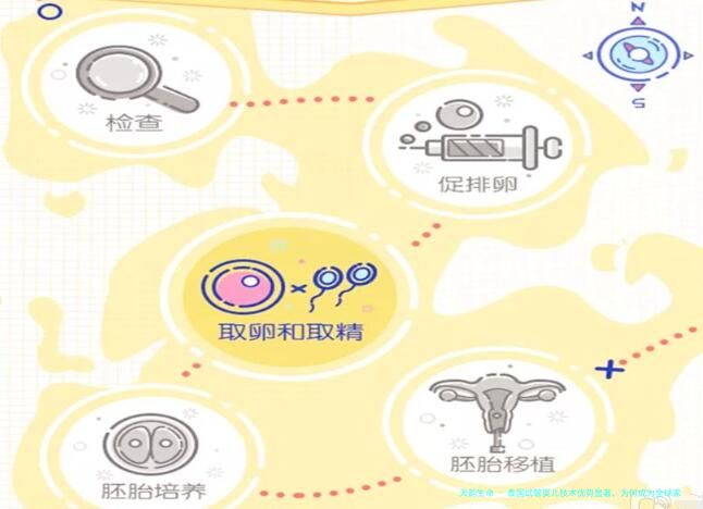 泰国试管婴儿技术优势显著，为何成为全球家庭首选？揭秘泰国生殖医疗魅力所在。