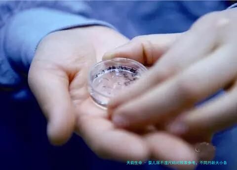 婴儿尿不湿尺码对照表参考，不同月龄大小各不相同
