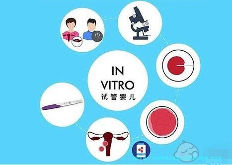 2026年周口比较大的助孕公司榜 成功率大揭秘