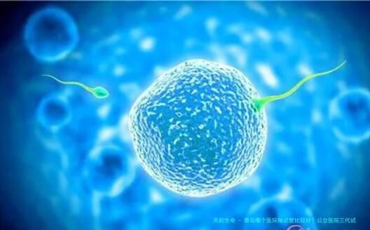 青岛哪个医院做试管比较好？公立医院三代试管技术实力解析