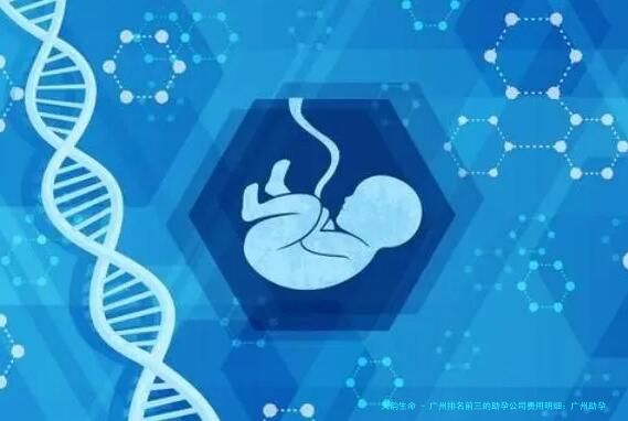 广州排名前三的助孕公司费用明细：广州助孕成功率高的专业机构推荐