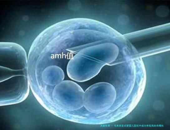 马来西亚试管婴儿医院中成功率较高的有哪些？