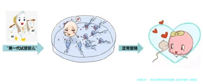西安试管助孕排名揭秘,成功率解析 试管助孕优势详解
