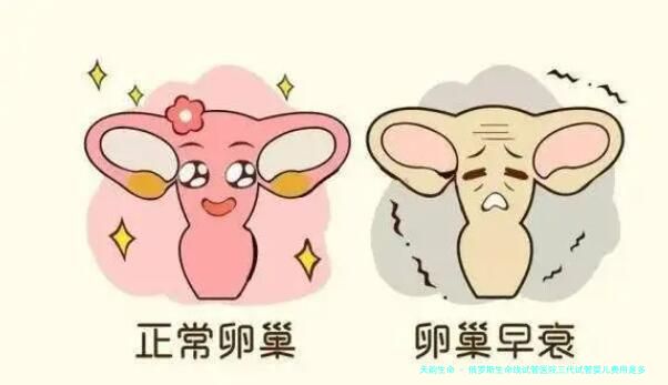 俄罗斯生命线试管医院三代试管婴儿费用是多少？具体收费项目有哪些？