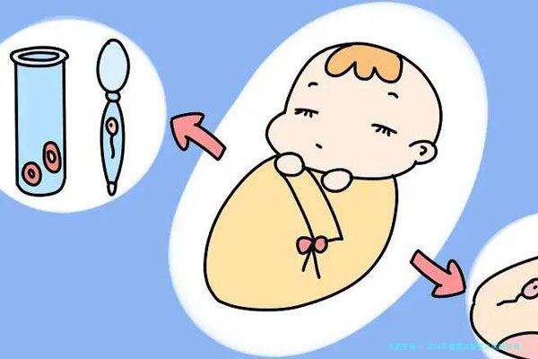 2026年泰国试管婴儿医院价格