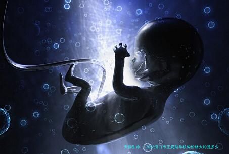 2026海口市正规助孕机构价格大约是多少？
