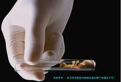 武汉同济医院详细地址是在哪个街道多少号？