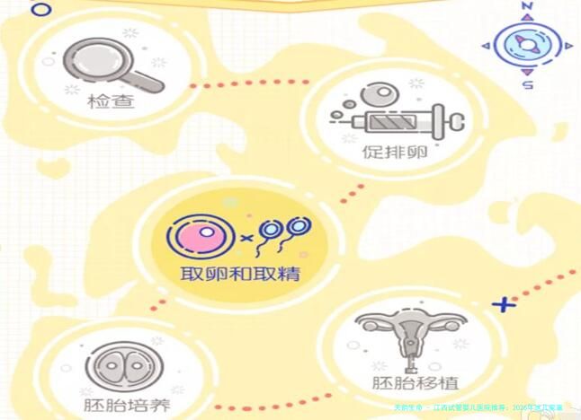江西试管婴儿医院推荐：2026年这几家靠谱选择，费用与成功率汇总！