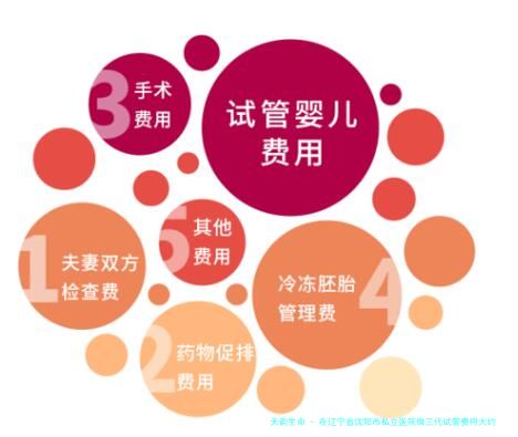 在辽宁省沈阳市私立医院做三代试管费用大约是多少一次？