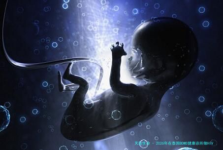 2026年在泰国BDMS健康诊所做HIV试管婴儿费用是多少？