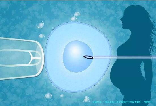 呼和浩特三代试管医院技术实力解析：内蒙古医科大学附属医院、内蒙古人民医院等公立机构与私立生殖中心对比及双胞胎费用指南
