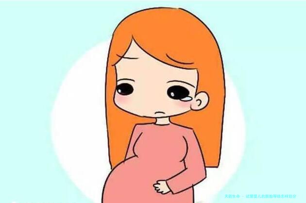 试管婴儿的胚胎等级怎样划分