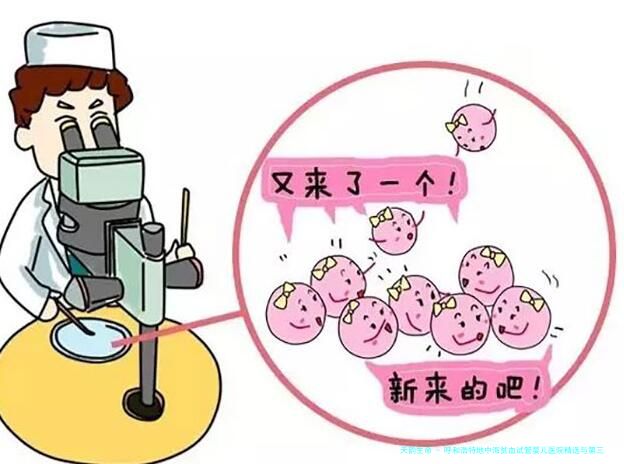 呼和浩特地中海贫血试管婴儿医院精选与第三代试管技术解析