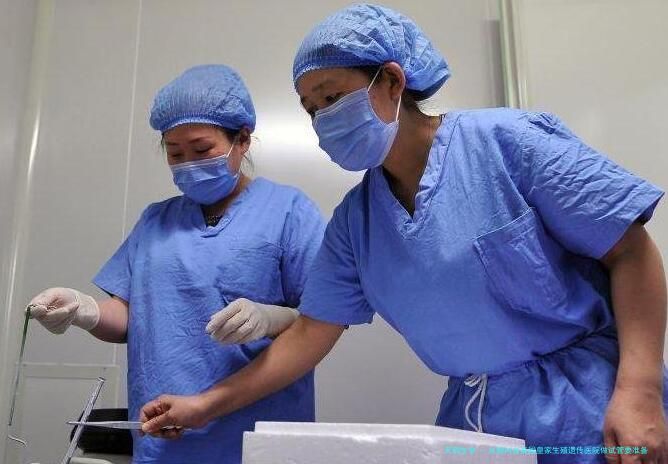 从国内去泰国皇家生殖遗传医院做试管要准备多少钱？
