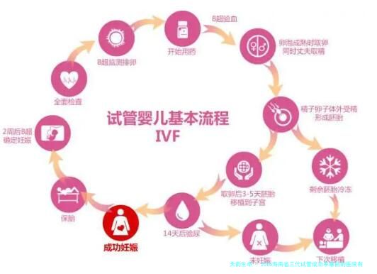 2026海南省三代试管成功率靠前的医院有哪些排名