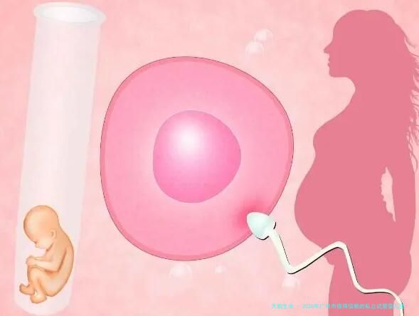 2026年广州市值得信赖的私立试管婴儿医院推荐！