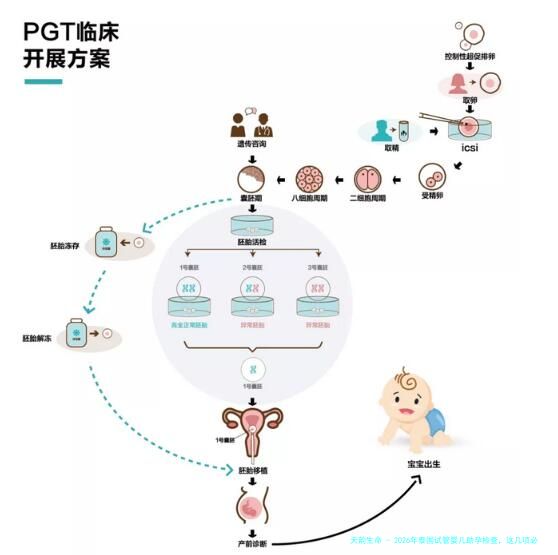 2026年泰国试管婴儿助孕检查，这几项必不可少