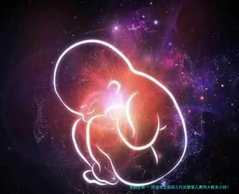 菏泽市立医院三代试管婴儿费用大概多少钱？
