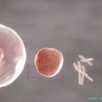 福州哪个医院做试管好？公立三甲与三代试管实力对比