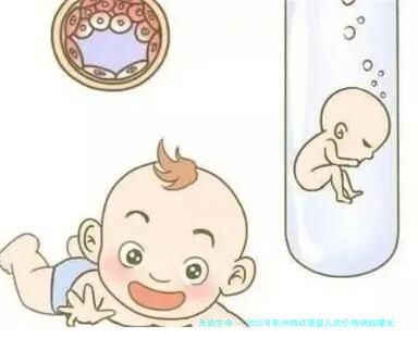 2025年荆州做试管婴儿的价格明细曝光,成功案例分享揭秘!