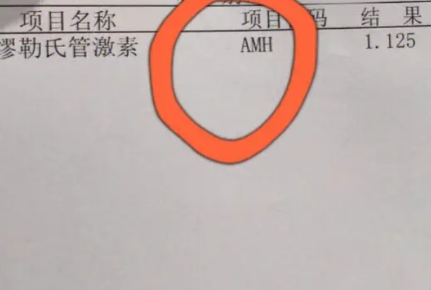 amh低于0.24ng/ml不适合试管促排