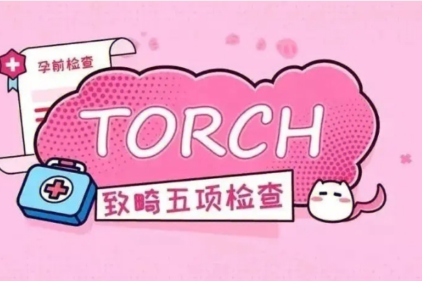 torch检查