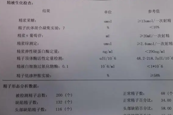 男人禁欲5天的精子活力会很好