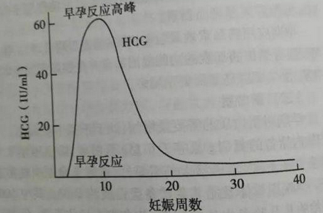 过了孕九周hcg峰值后下降趋势图是什么样的？