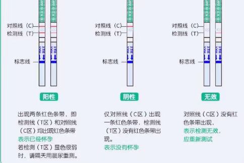  大卫早早孕试纸准确率能达到90%以上