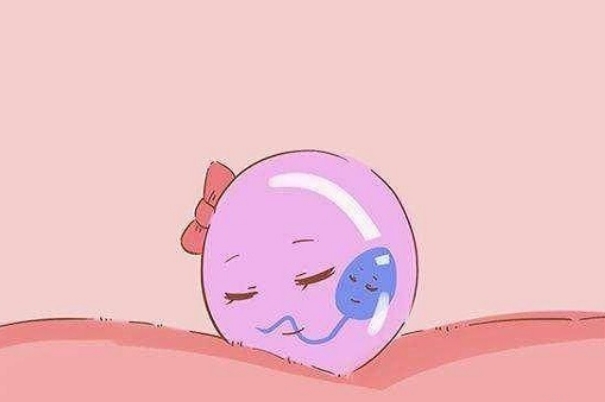 移植3天就能知晓成功与否