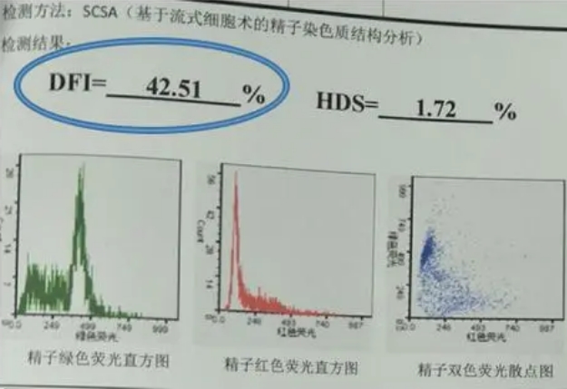 精子dna碎片40%严重