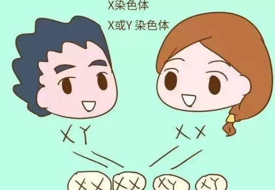 选到黑中介会女翻男