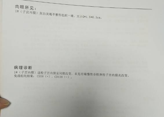 cd138阳性影响试管促排卵吗？