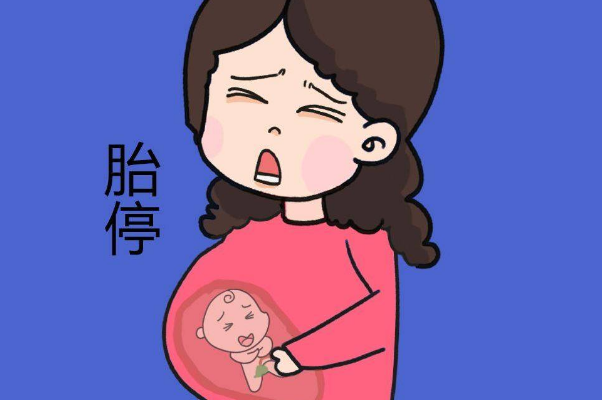 阴道出血是暗示胎停