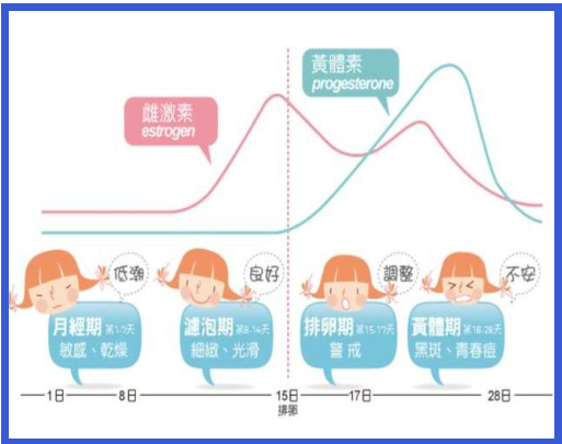 女性一个月雌激素水平变化图解，月经前后起伏最大