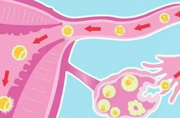 先天性始基子宫想试管怀孕需要准备多少钱才够？