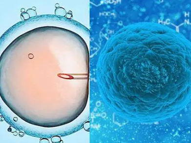 多囊促排取了21个卵子才成了1个胚胎是怎么回事？