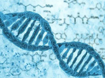 耳聋基因筛查科学性性争议较大