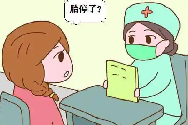 精子碎片率超过多少35岁孕妈就会有胎停的几率呢？