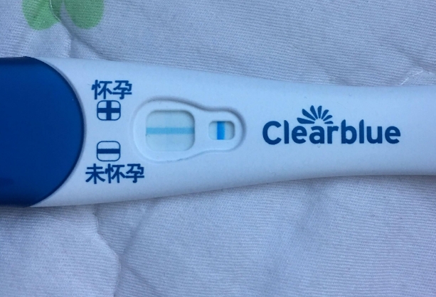 请问clearblue验孕棒蓝色一横一竖意味着什么？