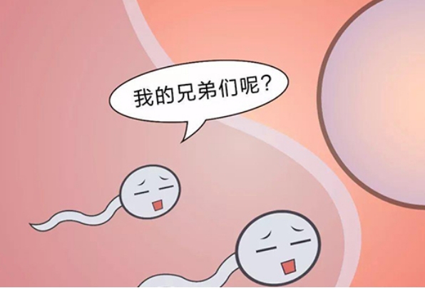 精子差影响怀孕