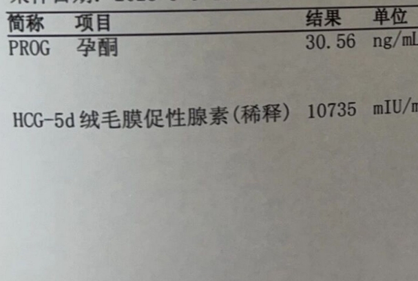 移植18天Hcg1万多可能着床成功