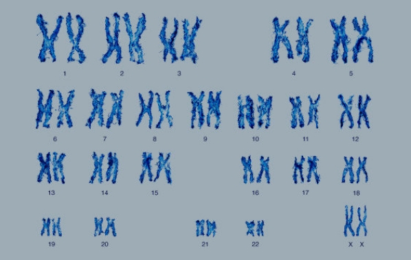 6号染色体缺失孩子可以要