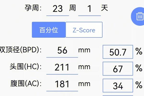 24周胎儿腹围大于23周